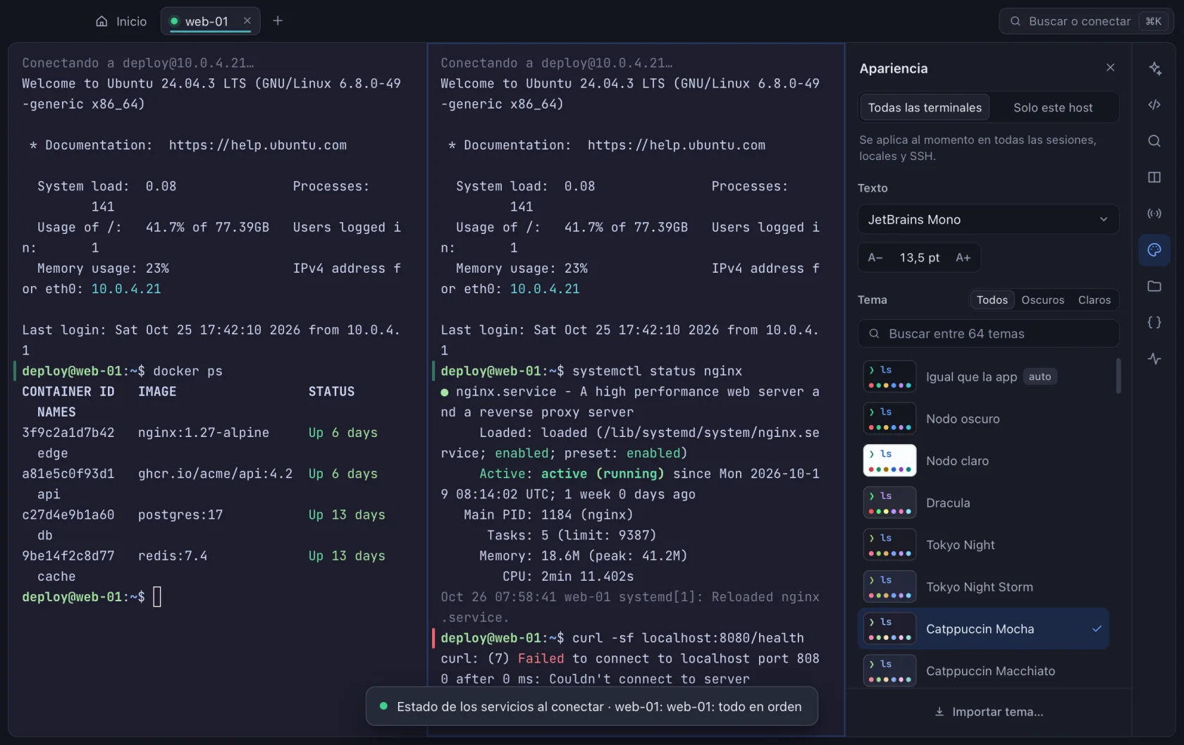 Terminal de Nodo dividida en dos paneles con el panel de apariencia abierto